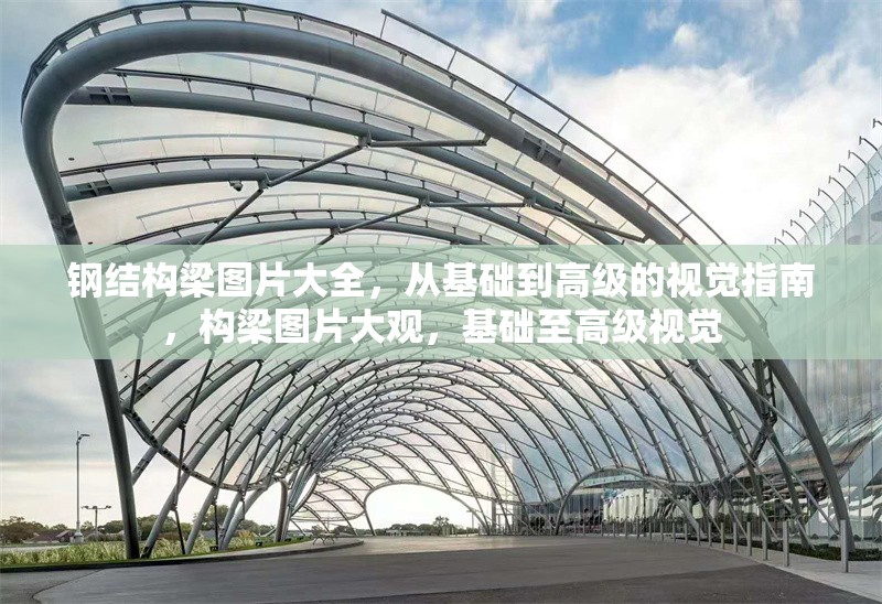 鋼結(jié)構(gòu)梁圖片大全，從基礎(chǔ)到高級的視覺指南，構(gòu)梁圖片大觀，基礎(chǔ)至高級視覺 行業(yè)新聞