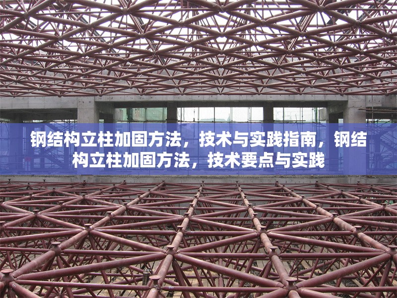 鋼結(jié)構(gòu)立柱加固方法，技術(shù)與實踐指南，鋼結(jié)構(gòu)立柱加固方法，技術(shù)要點與實踐
