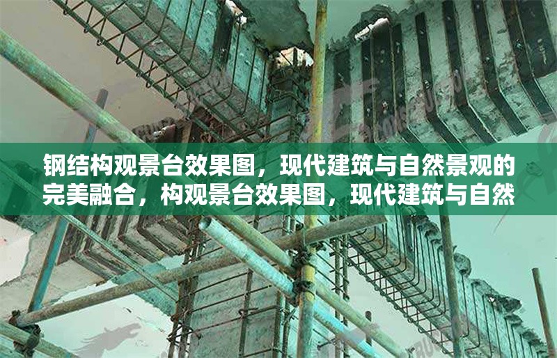 鋼結(jié)構(gòu)觀景臺效果圖，現(xiàn)代建筑與自然景觀的完美融合，構(gòu)觀景臺效果圖，現(xiàn)代建筑與自然