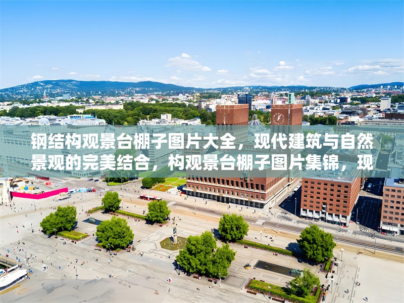 鋼結(jié)構(gòu)觀景臺棚子圖片大全，現(xiàn)代建筑與自然景觀的完美結(jié)合，構(gòu)觀景臺棚子圖片集錦，現(xiàn)代建筑與自然景觀
