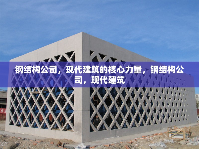 鋼結(jié)構(gòu)公司，現(xiàn)代建筑的核心力量，鋼結(jié)構(gòu)公司，現(xiàn)代建筑