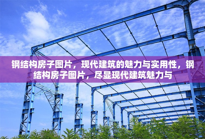 鋼結(jié)構(gòu)房子圖片，現(xiàn)代建筑的魅力與實用性，鋼結(jié)構(gòu)房子圖片，盡顯現(xiàn)代建筑魅力與