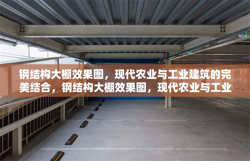 鋼結(jié)構(gòu)大棚效果圖，現(xiàn)代農(nóng)業(yè)與工業(yè)建筑的完美結(jié)合，鋼結(jié)構(gòu)大棚效果圖，現(xiàn)代農(nóng)業(yè)與工業(yè)建筑的 行業(yè)新聞