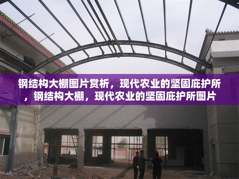鋼結(jié)構(gòu)大棚圖片賞析，現(xiàn)代農(nóng)業(yè)的堅(jiān)固庇護(hù)所，鋼結(jié)構(gòu)大棚，現(xiàn)代農(nóng)業(yè)的堅(jiān)固庇護(hù)所圖片 行業(yè)新聞