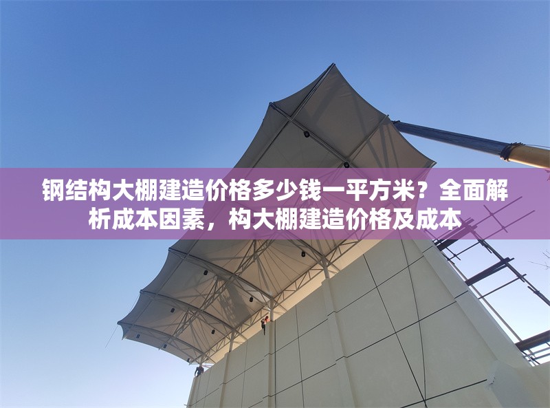 鋼結(jié)構(gòu)大棚建造價(jià)格多少錢一平方米？全面解析成本因素，構(gòu)大棚建造價(jià)格及成本 行業(yè)新聞