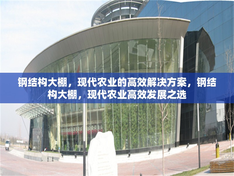 鋼結(jié)構(gòu)大棚，現(xiàn)代農(nóng)業(yè)的高效解決方案，鋼結(jié)構(gòu)大棚，現(xiàn)代農(nóng)業(yè)高效發(fā)展之選 行業(yè)新聞