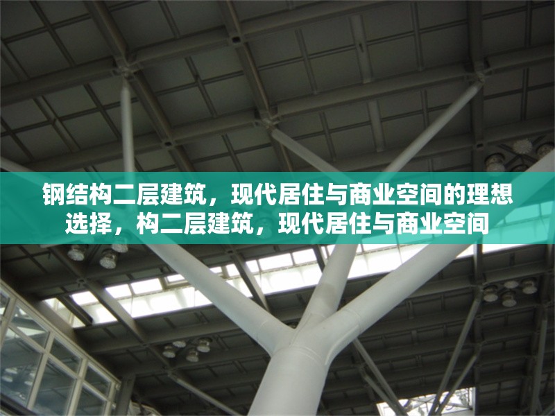 鋼結(jié)構(gòu)二層建筑，現(xiàn)代居住與商業(yè)空間的理想選擇，構(gòu)二層建筑，現(xiàn)代居住與商業(yè)空間