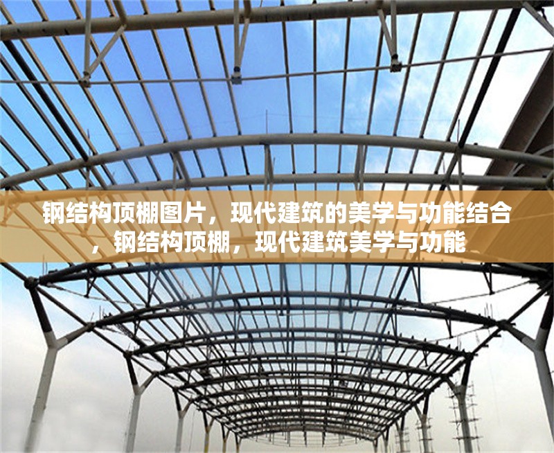鋼結(jié)構(gòu)頂棚圖片，現(xiàn)代建筑的美學(xué)與功能結(jié)合，鋼結(jié)構(gòu)頂棚，現(xiàn)代建筑美學(xué)與功能 行業(yè)新聞