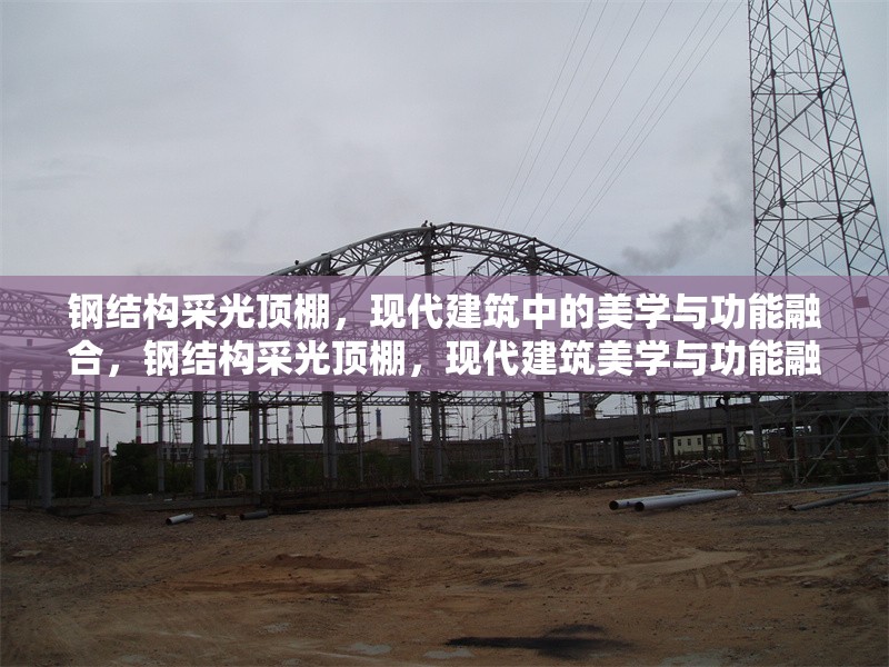 鋼結(jié)構(gòu)采光頂棚，現(xiàn)代建筑中的美學(xué)與功能融合，鋼結(jié)構(gòu)采光頂棚，現(xiàn)代建筑美學(xué)與功能融合之典范