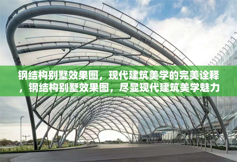 鋼結(jié)構(gòu)別墅效果圖，現(xiàn)代建筑美學(xué)的完美詮釋，鋼結(jié)構(gòu)別墅效果圖，盡顯現(xiàn)代建筑美學(xué)魅力
