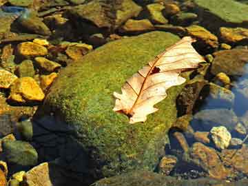 3米高旋轉(zhuǎn)樓梯最小直徑（3米高旋轉(zhuǎn)樓梯最小直徑圖片）3米高旋轉(zhuǎn)樓梯的最小直徑探究及