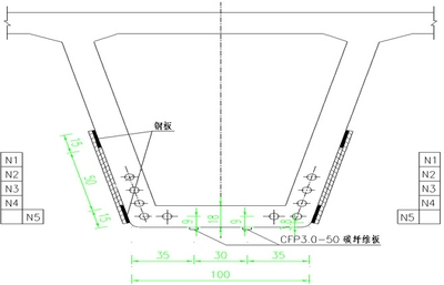 碳纖維加固橋梁的國際案例對比，碳纖維加固橋梁，國際案例之對比剖析