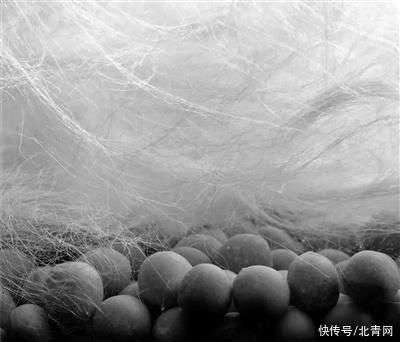 碳纖維材料在極寒環(huán)境中的性能，碳纖維材料于極寒環(huán)境下的性能表現(xiàn)探究 行業(yè)新聞 第4張