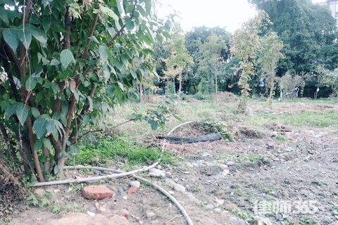 土地增值稅稅率如何確定，土地增值稅稅率確定方法及影響因素詳解 行業(yè)新聞 第4張