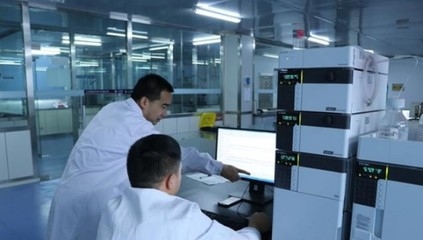 現(xiàn)場檢測法與實驗室測試法比較，現(xiàn)場檢測法與實驗室測試法的優(yōu)劣對比及適用場景分析 行業(yè)新聞 第5張