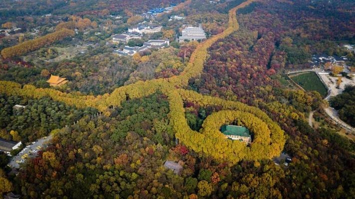 碳纖維加固在歷史建筑中的應(yīng)用，碳纖維加固，歷史建筑保護與修復(fù)的