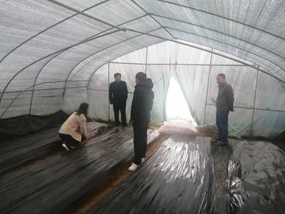 應(yīng)急工程中加固技術(shù)的效率，應(yīng)急工程加固技術(shù)效率 行業(yè)新聞 第3張