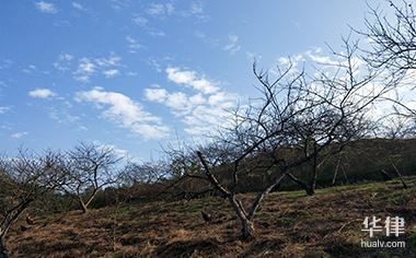 土地使用權(quán)攤銷稅務(wù)處理指南，土地使用權(quán)攤銷稅務(wù)處理，明晰要點(diǎn)與 行業(yè)新聞 第2張