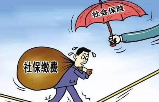 加固公司社保繳納比例，加固公司社保繳納比例，規(guī)范與調(diào)整 行業(yè)新聞 第4張