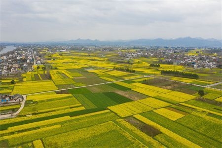 建筑加固技術(shù)的國(guó)際對(duì)比，建筑加固技術(shù)，國(guó)際差異與比較