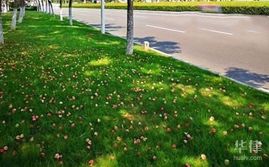 土地使用權(quán)會(huì)計(jì)處理的最新準(zhǔn)則，土地使用權(quán)會(huì)計(jì)處理最新準(zhǔn)則 行業(yè)新聞 第5張