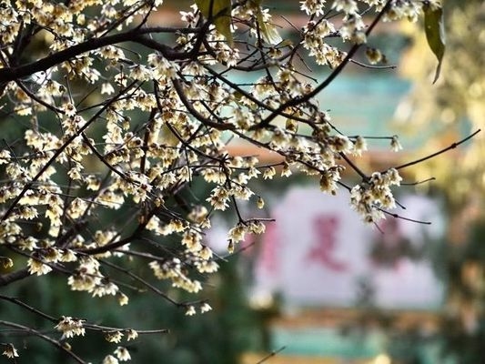 老舊廠房改造的環(huán)保措施，老舊廠房改造中環(huán)保舉措的多元探索 行業(yè)新聞 第2張