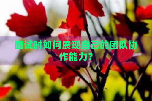 面試中如何展現(xiàn)團隊協(xié)作能力，面試攻略，解鎖展現(xiàn)團隊協(xié)作能力的秘籍 行業(yè)新聞 第2張