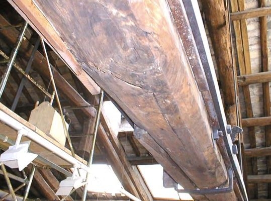 建筑加固后的病蟲害防治，建筑加固后病蟲害防治策略與實踐 行業(yè)新聞 第3張