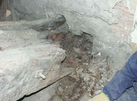 建筑加固后的病蟲害防治，建筑加固后病蟲害防治策略與實踐 行業(yè)新聞 第1張