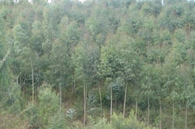 碳纖維材料環(huán)境適應(yīng)性評(píng)價(jià)標(biāo)準(zhǔn)，碳纖維材料環(huán)境適應(yīng)性評(píng)價(jià)標(biāo)準(zhǔn)，性能、應(yīng)用與可持續(xù)發(fā)展考量