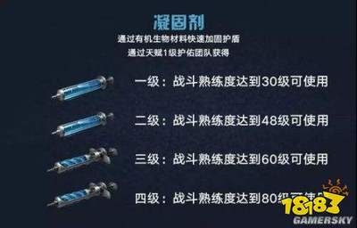 專業(yè)加固團(tuán)隊(duì)的標(biāo)準(zhǔn)配置，專業(yè)加固團(tuán)隊(duì)，標(biāo)準(zhǔn)配置全解析 行業(yè)新聞 第2張