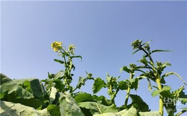 老舊房屋改造補貼申請條件，老舊房屋改造補貼申請，條件全解析 行業(yè)新聞 第2張
