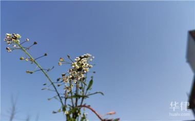 老舊房屋改造補貼申請條件，老舊房屋改造補貼申請，條件全解析 行業(yè)新聞 第3張