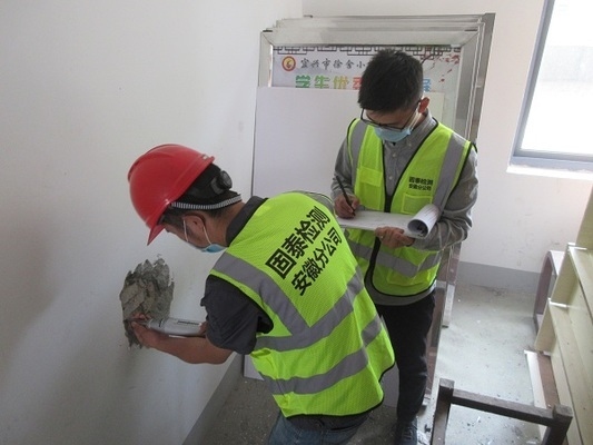 建筑物加固后位移監(jiān)測技術，建筑物加固后位移監(jiān)測技術，保障建筑安全的精準之眼 行業(yè)新聞 第5張