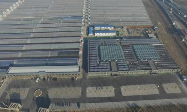 綠色農(nóng)業(yè)建筑設計創(chuàng)新，綠色農(nóng)業(yè)建筑設計創(chuàng)新，融合生態(tài)與高效的 行業(yè)新聞 第6張