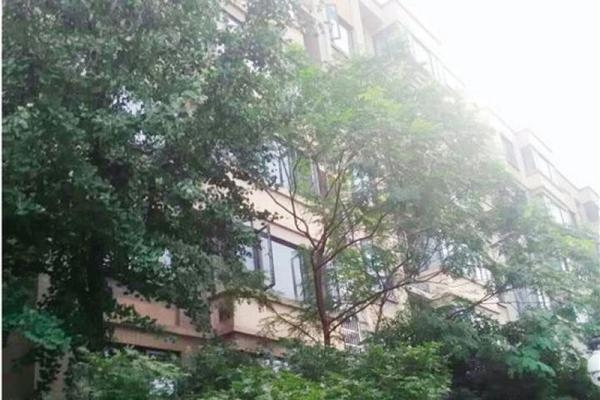綠化設(shè)計(jì)對(duì)采光的影響，綠化設(shè)計(jì)對(duì)建筑采光的影響分析，綠化設(shè)計(jì)與建筑采光，影響分析與優(yōu)化策略 行業(yè)新聞 第2張