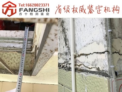 如何判斷建筑裂縫是否嚴重？建筑裂縫嚴重性判斷指南，關鍵方法與注意事項 行業(yè)新聞 第3張