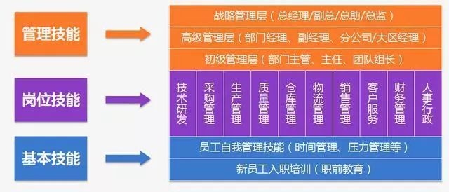 如何制定個性化人才培養(yǎng)方案？高效制定個性化人才培養(yǎng)方案的實用指南 行業(yè)新聞 第3張
