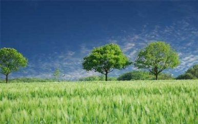 設(shè)計公司員工培訓(xùn)的有效方法有哪些？提升設(shè)計公司員工技能的10種高效培訓(xùn)方法 行業(yè)新聞 第2張