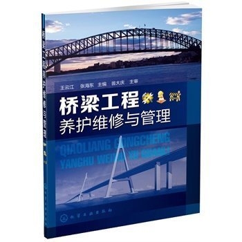 橋梁加固工程應(yīng)急預(yù)案案例分析，橋梁加固工程應(yīng)急預(yù)案典型案例分析與實施策略 行業(yè)新聞 第2張