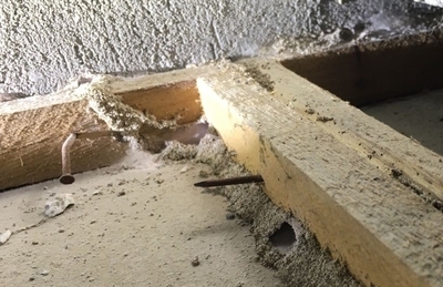 建筑加固后白蟻防治案例，建筑加固工程中的白蟻防治成功案例分析 行業(yè)新聞 第3張