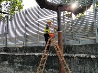 建筑加固后白蟻防治案例，建筑加固工程中的白蟻防治成功案例分析 行業(yè)新聞 第2張