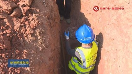 建筑加固后白蟻防治案例，建筑加固工程中的白蟻防治成功案例分析 行業(yè)新聞 第4張