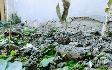 攤銷年限選擇的行業(yè)差異，攤銷年限選擇的行業(yè)差異分析 行業(yè)新聞 第2張