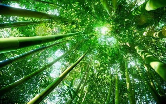 建筑結(jié)構(gòu)抗震設(shè)計中的剛度比應(yīng)用，建筑結(jié)構(gòu)抗震設(shè)計中剛度比的關(guān)鍵作用與優(yōu)化策略，建筑結(jié)構(gòu)抗震設(shè)計中剛度比的關(guān)鍵作用與優(yōu)化策略 行業(yè)新聞 第3張