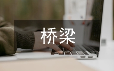 橋梁加固工程成本效益分析，橋梁加固工程成本效益分析與優(yōu)化策略研究 行業(yè)新聞 第3張