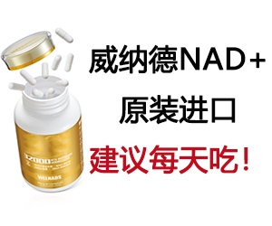 包鋼無縫鋼管產(chǎn)品高端化案例，包鋼無縫鋼管，邁向高端化的卓越征程，包鋼無縫鋼管產(chǎn)品高端化，破局與蝶變之路，包鋼無縫鋼管的高端化進階傳奇，探秘包鋼無縫鋼管產(chǎn)品高端化的成功密碼 行業(yè)新聞 第6張