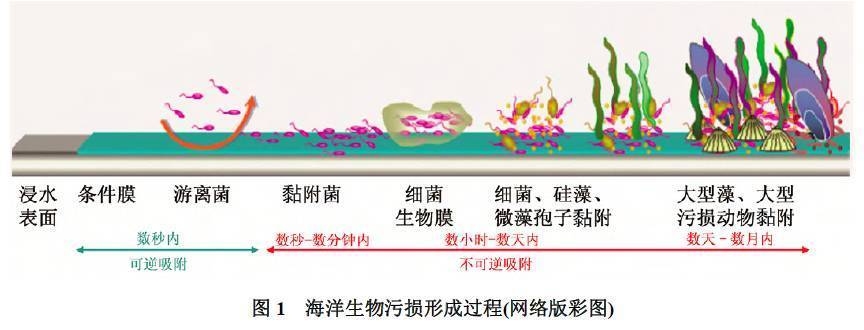 海洋環(huán)境下鋼板防腐技術(shù)，海洋環(huán)境下鋼板防腐技術(shù) 行業(yè)新聞 第4張