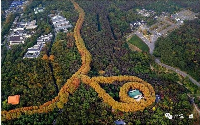 仿古材料在建筑加固中的應(yīng)用，仿古材料，建筑加固領(lǐng)域的創(chuàng)新應(yīng)用 行業(yè)新聞 第6張