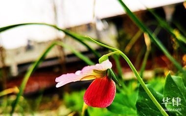 規(guī)劃為商業(yè)用地，商業(yè)用地規(guī)劃，開啟城市發(fā)展新篇 行業(yè)新聞 第3張